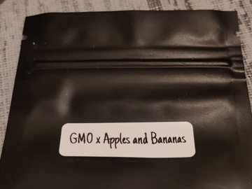 Sale: GMO x Apples and Bananas 12+ Feminized Seeds