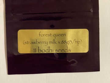 Sale: Bodhi Seeds - Forest Queen - Strawberry Milk x 88g13/hp
