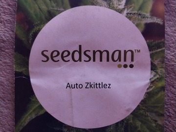 Vente: Auto Zkittlez 3 Feminized Autoflowers Seeds by Seedsman