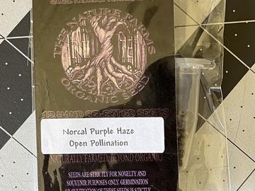 Verkaufen: Norcal Purple Haze