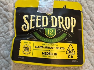 Sale: Compound Genetics glazed Apricot Gelato X Medellin