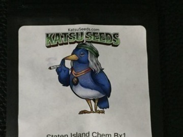Venta: Staten Island Chem BX 10pk. Regs - Katsu Seeds