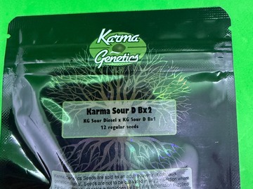 Sale: SOUR DIESEL BX2 ( KARMA GENETICS) JUST AN AMAZING STRAIN!