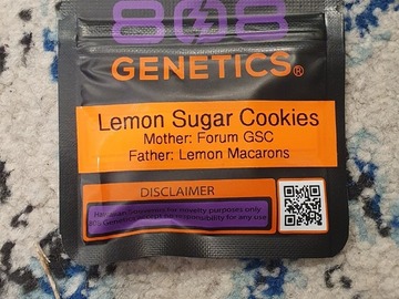 Verkaufen: Lemon Sugar Cookies