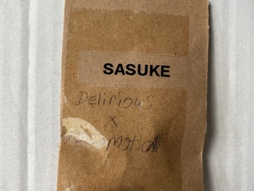 Sale: Herring chokers/ Sasuke- Delirious x Locomotion