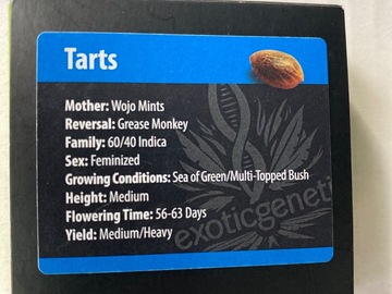 Verkaufen: Exotic Genetics/ Tarts - retired strain