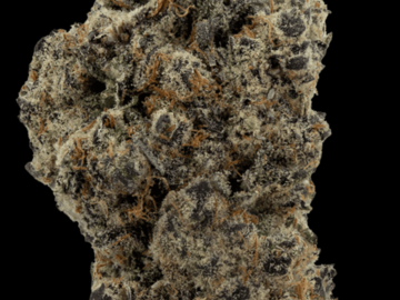 Vente: GMO SherbCrasher