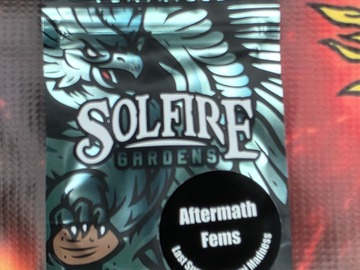 Verkaufen: Aftermath from Solfire Gardens
