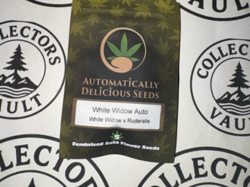 Auktion: Automatically Delicious Seeds – White Widow Auto
