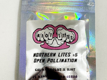 Venta: NL5 - CSI x Riot Seeds - Northern Lites 5