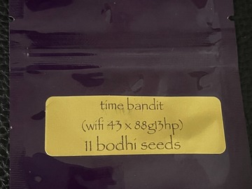 Sale: Time Bandit (Wifi 43 x 88G13HP) 11pk. - Bodhi Seeds