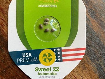 Sale: RQS - Sweet ZZ (5 FEM AUTOS)