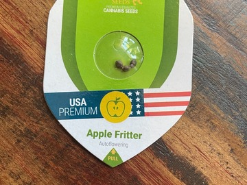 Sale: RQS - Apple Fritter (3 FEM AUTOS)