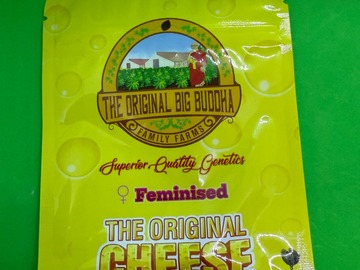 Subastas: ORIGINAL CHEESE (THE ORIGINAL BIG BUDDAH FAMILY FARMS CUP WINNER)