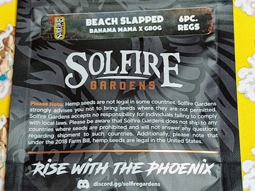 Sale: Beach Slapped – Solfire Gardens