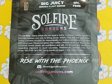 Venta: Big Juicy – Solfire Gardens - 6ct Fems