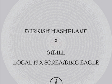 Venta: Turkish Hashplant x Dominion 6 MILL