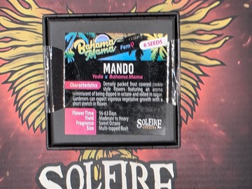 Verkaufen: Mando - Solfire Gardens