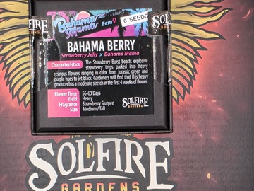 Verkaufen: Bahama Berry  - Solfire Gardens