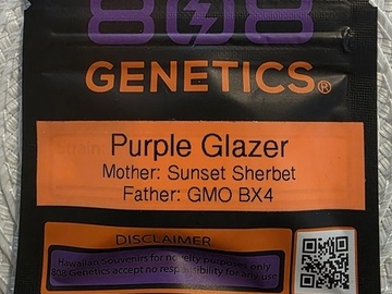 Venta: 808 GENETICS - PURPLE GLAZER