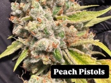 Auktion: Peach Pistols 23 - Beleaf