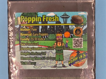 Venta: Poppin Fresh - Exotic Genetix