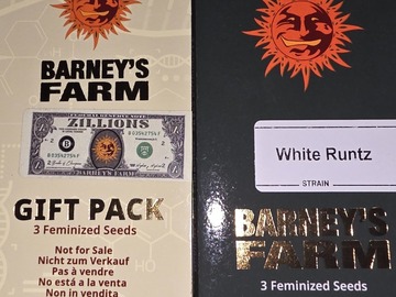 Venta: White Runtz +3ct