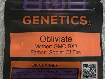 Venta: 808 GENETICS - OBLIVIATE