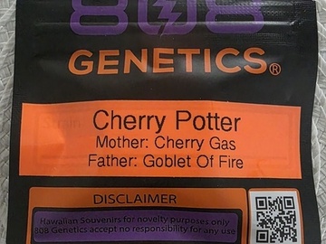 Venta: 808 GENETICS - CHERRY POTTER