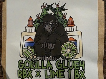 Venta: Brandon Rust Gorilla Glue #4 RBX x Lime 1 BX