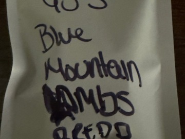 Venta: 90s Blue mountain Lambsbread
