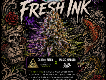 Sale: Seed junky (magic marker x carbon fiber) from Canarado gentics