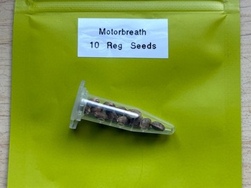 Venta: Motorbreath F1