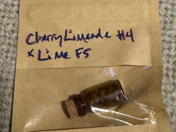 Sale: Ozark - Cherry Limeade #4 x Lime F5