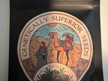 Sale: Genetically Superior Seeds - Lime Crystals