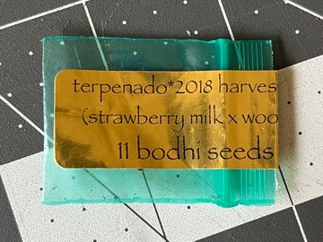 Verkaufen: Terpenado - Bodhi - strawberry milk x wookie