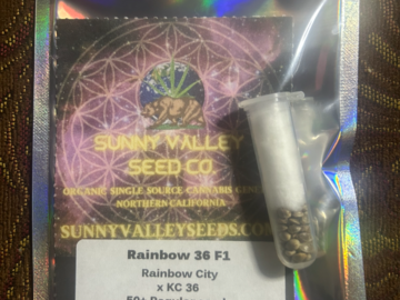 Vente: Rainbow 36 F1 50 seeds