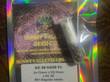 Vente: KC36 Haze F1 50 seeds