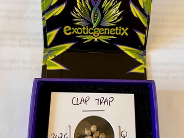Venta: Rare Exotic Genetix Exclusive: Clap Trap