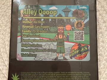 Venta: EXOTIC - ALLEY OOOOP