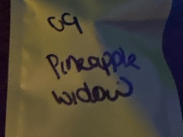 Vente: 09 pineapple widow