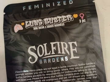 Enchères: LUNG BUSTER - Solfire Gardens