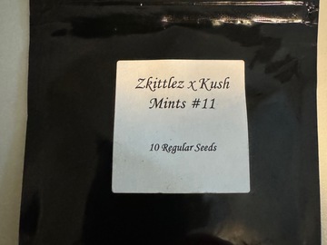 Venta: Seed Junky Genetics - Zkittlez x Kush Mints 11