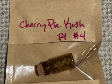 Vente: Ozark - Cherry Pie Kush F4 #4