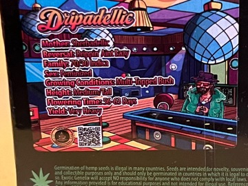 Vente: Dripadellic by Exotic Genetix