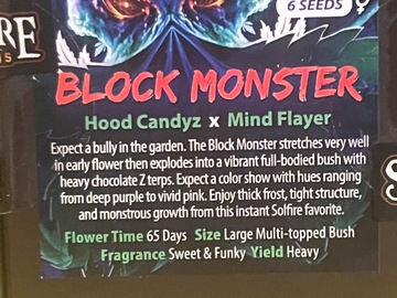 Vente: Block Monster by Solfire Gardens | 6ct Feminized