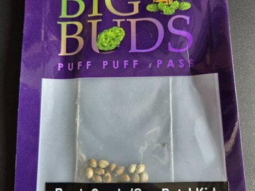 Auction: [Purple Candy x Sour Patch Kids] F1 *Big Buds