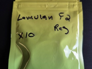 Auction: Lemulan F2 [Lemon G x Romulan] *Emerald Underground