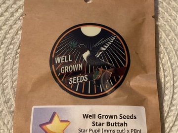 Sale: WELL GROWN - STAR BUTTAH