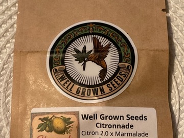 Auction: WELL GROWN - CITRONNADE